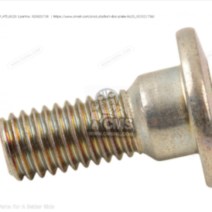 Disc Plate Bolt